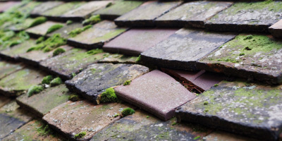 Beeston roof repair costs